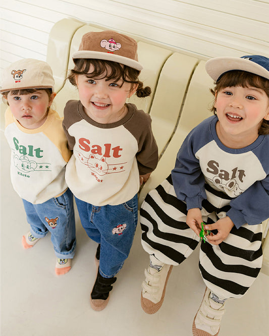 Salt Raglan Sweatshirt