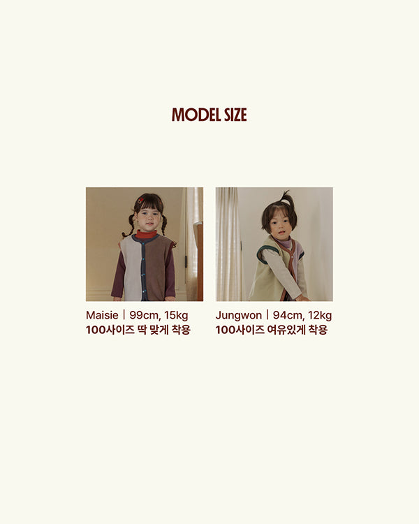 Color Block Fleece Vest