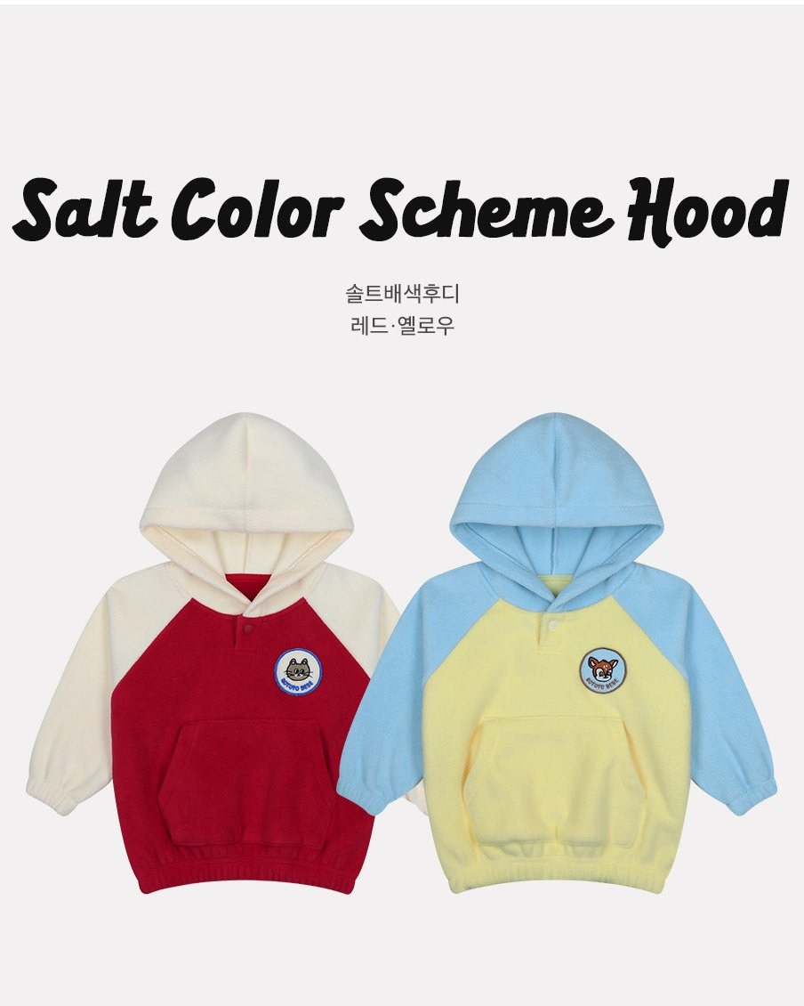Salt Color Scheme Hoodie