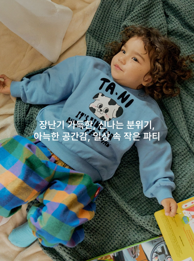 Festival Point Sweatshirt