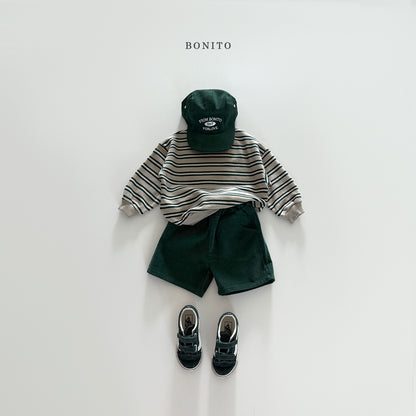 Stripe Color Sweatshirt
