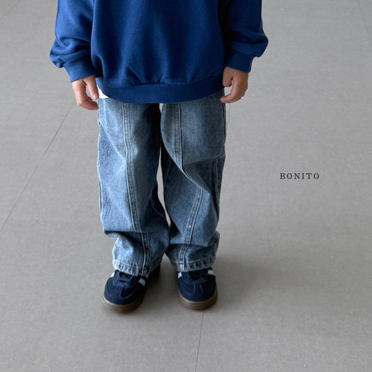Line Brushed Denim Pants