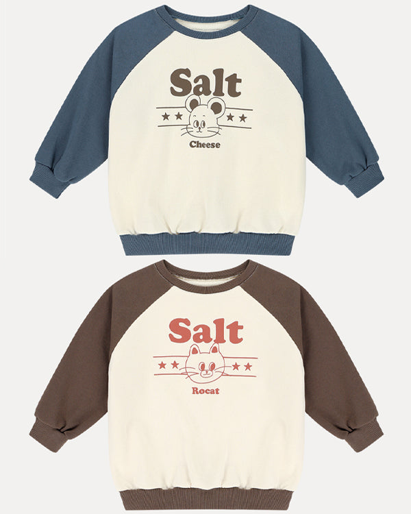 Salt Raglan Sweatshirt