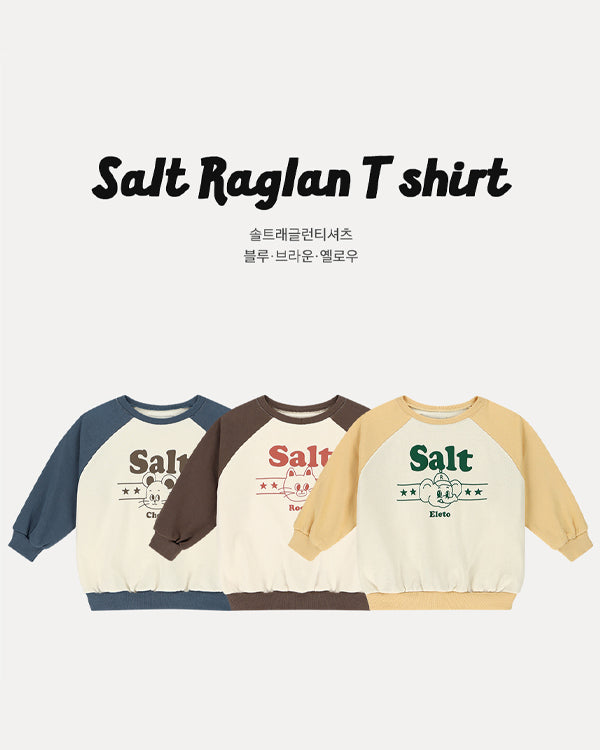 Salt Raglan Sweatshirt