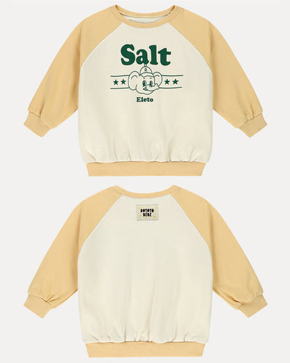 Salt Raglan Sweatshirt