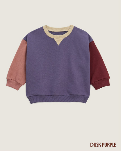 26 Fall Color Block Sweatshirt