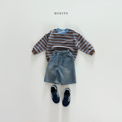 Stripe Color Sweatshirt