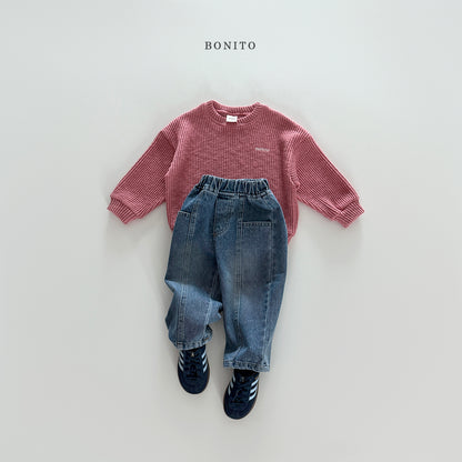 Line Brushed Denim Pants