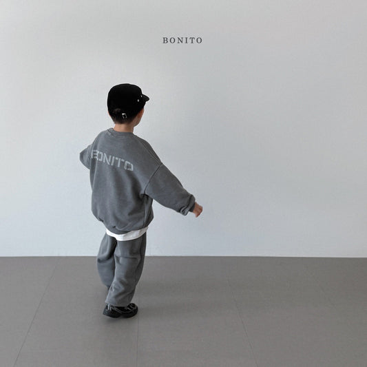 Bonito Pigment Set (Mom size availalbe)