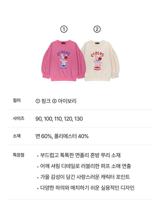 Festival Solid Sweatshirt