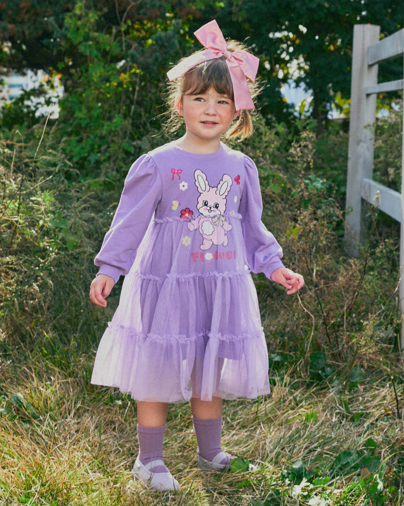 Tulle Character Point Dress