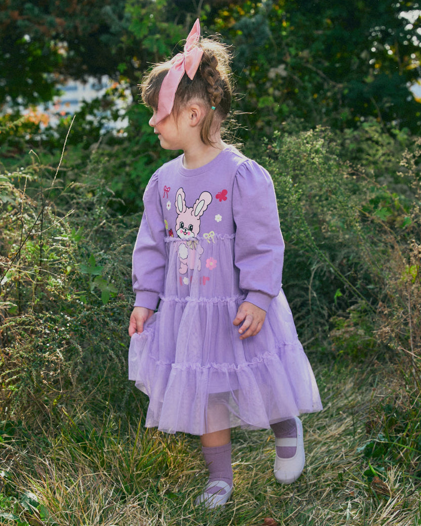 Tulle Character Point Dress