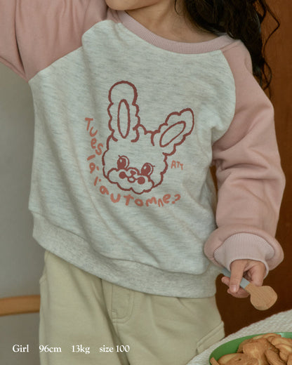 [26F] Terry Color-Block Raglan Sweatshirt