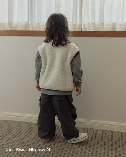 [26F] Paneled Color-Block Fleece Vest