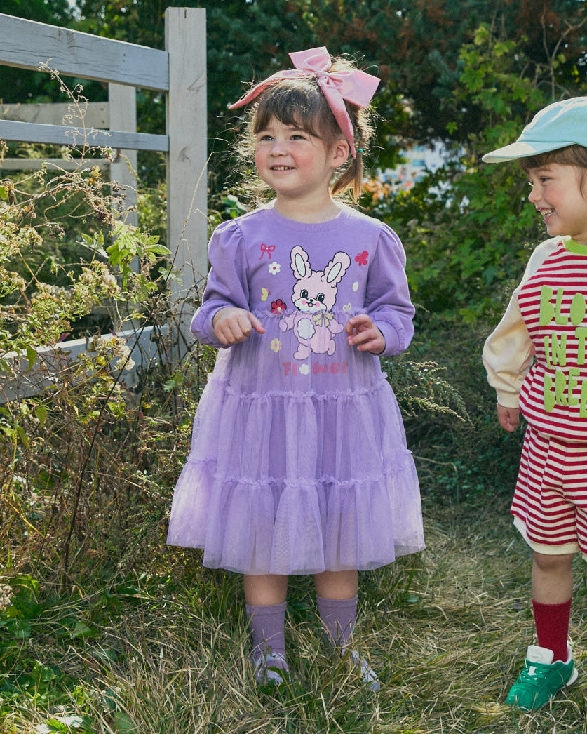 Tulle Character Point Dress