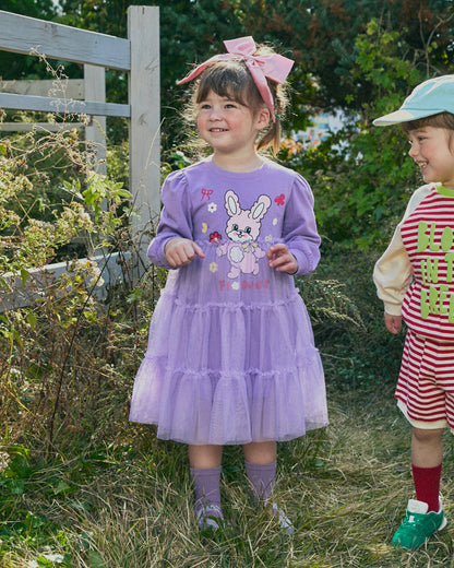 Tulle Character Point Dress