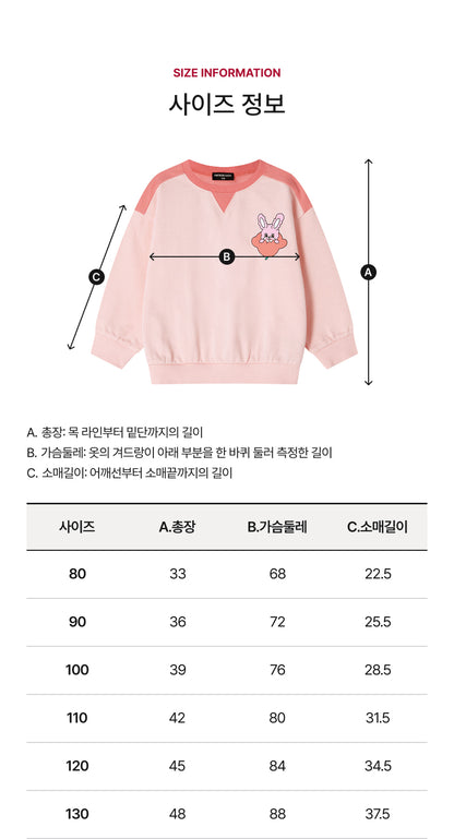 Mini French Terry Color-Block Sweatshirt