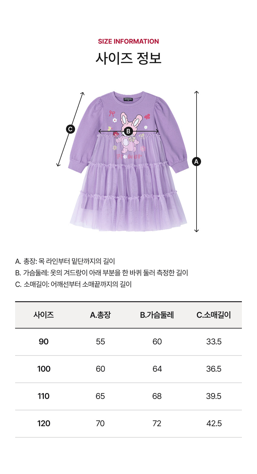 Tulle Character Point Dress