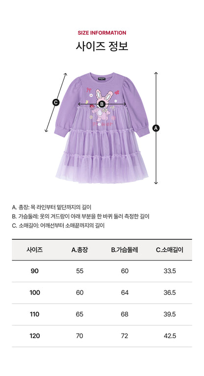 Tulle Character Point Dress